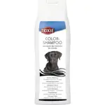 Colour Shampoo